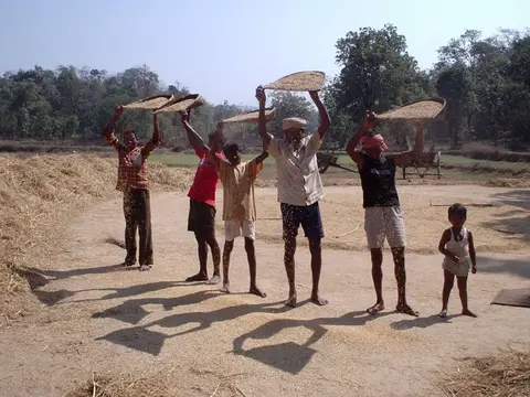वंजिङ तूळ्हतना  Winnowing paddy