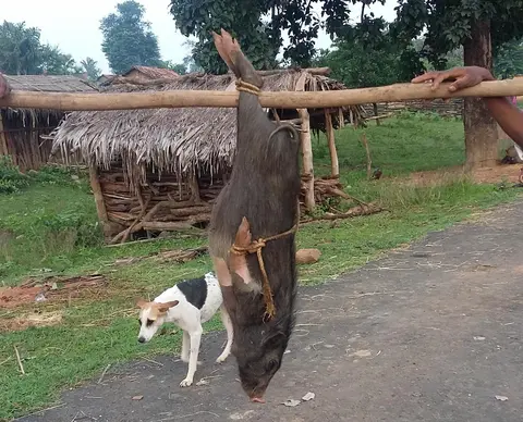 तोग़्ङा कांजिस ओयना