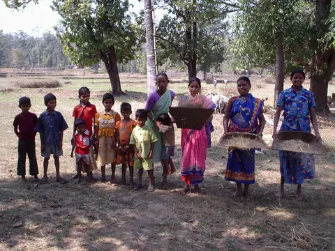 वंजिङ तूळ्हतना  Winnowing paddy