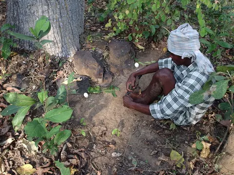 पिंडि पोल्वा - पीसेतुन अस्कलाह आस्तोर
